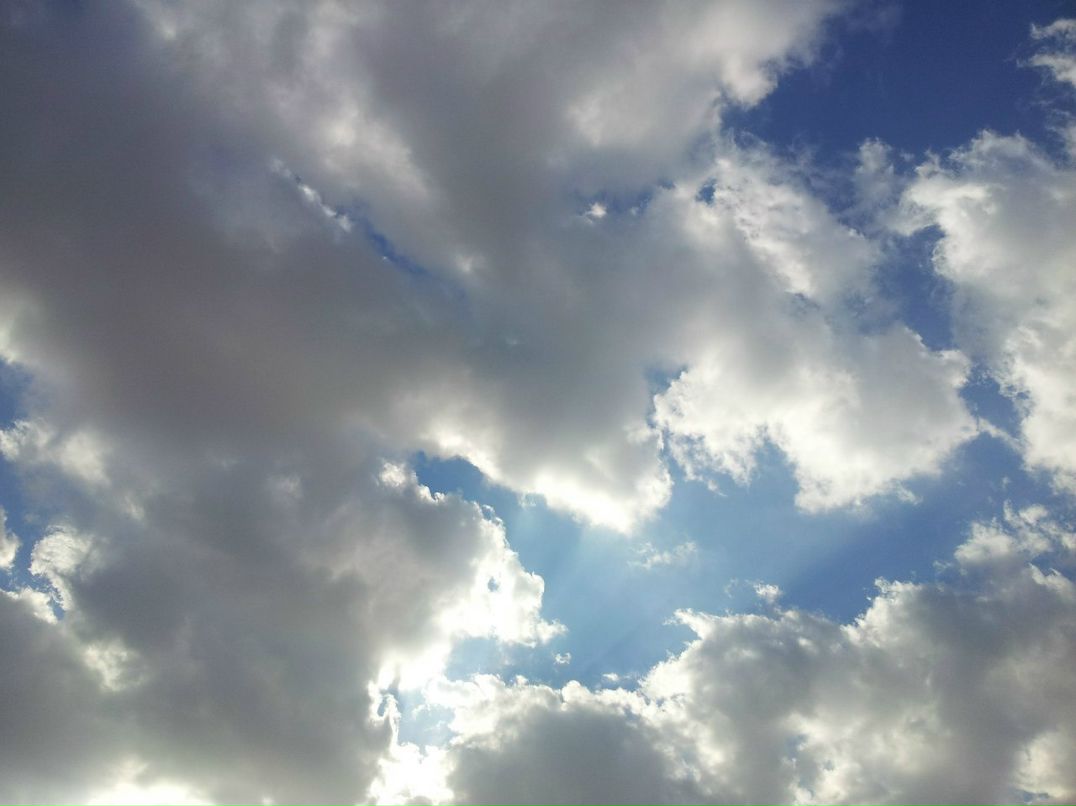 Юрий Джедай | Новосибирск