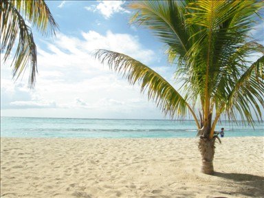 Денис Зверев Homer Simpson | 