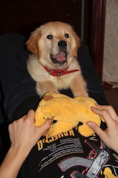 Андрей Титов | Санкт-Петербург