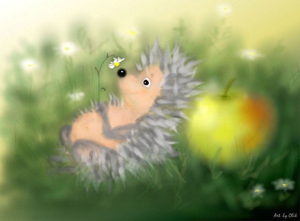 Елена Шишкина #ДОБРО# | Киров