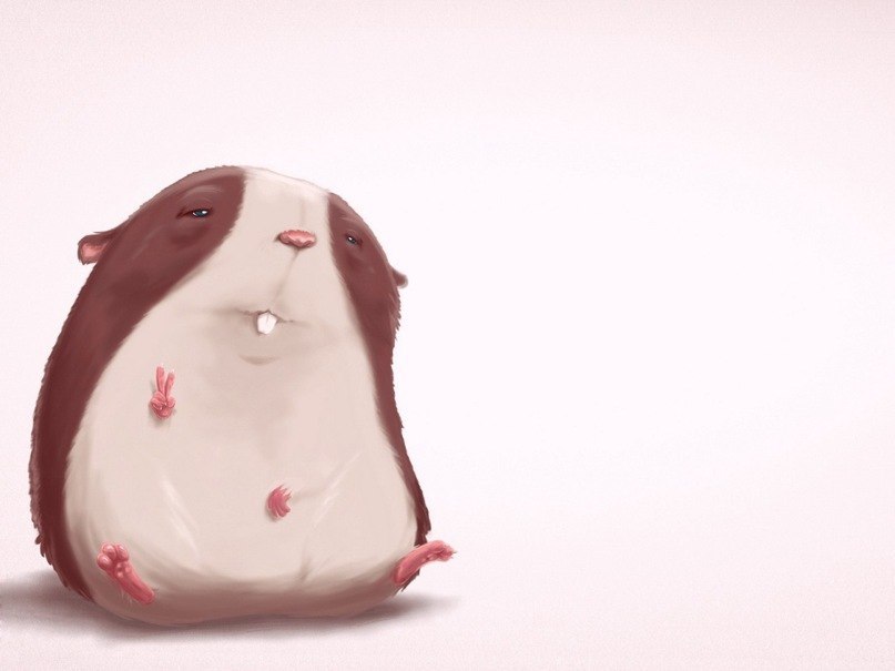 Виктор Бабровский | Волгоград