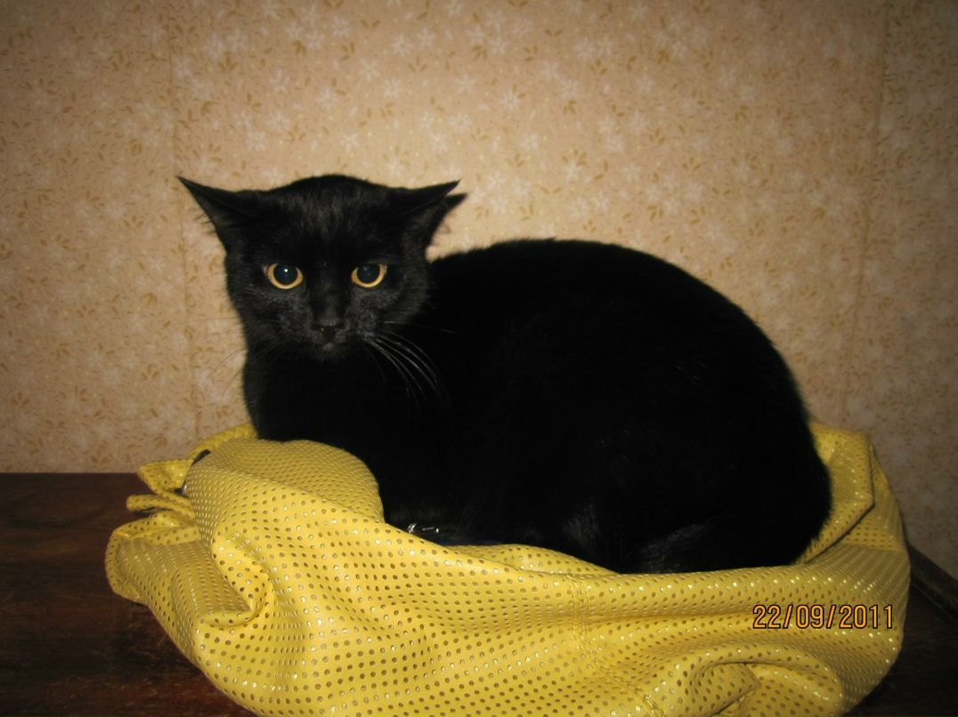 Анка Рыжая | Санкт-Петербург