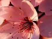 Дарья Беркутова | 