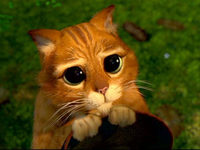 Владислав Борсук | Донецк