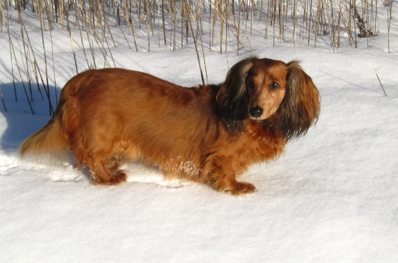 Аня Малыгина | Санкт-Петербург