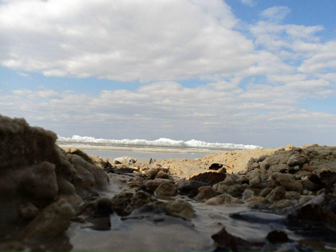 Игорь Фоменко | Запорожье