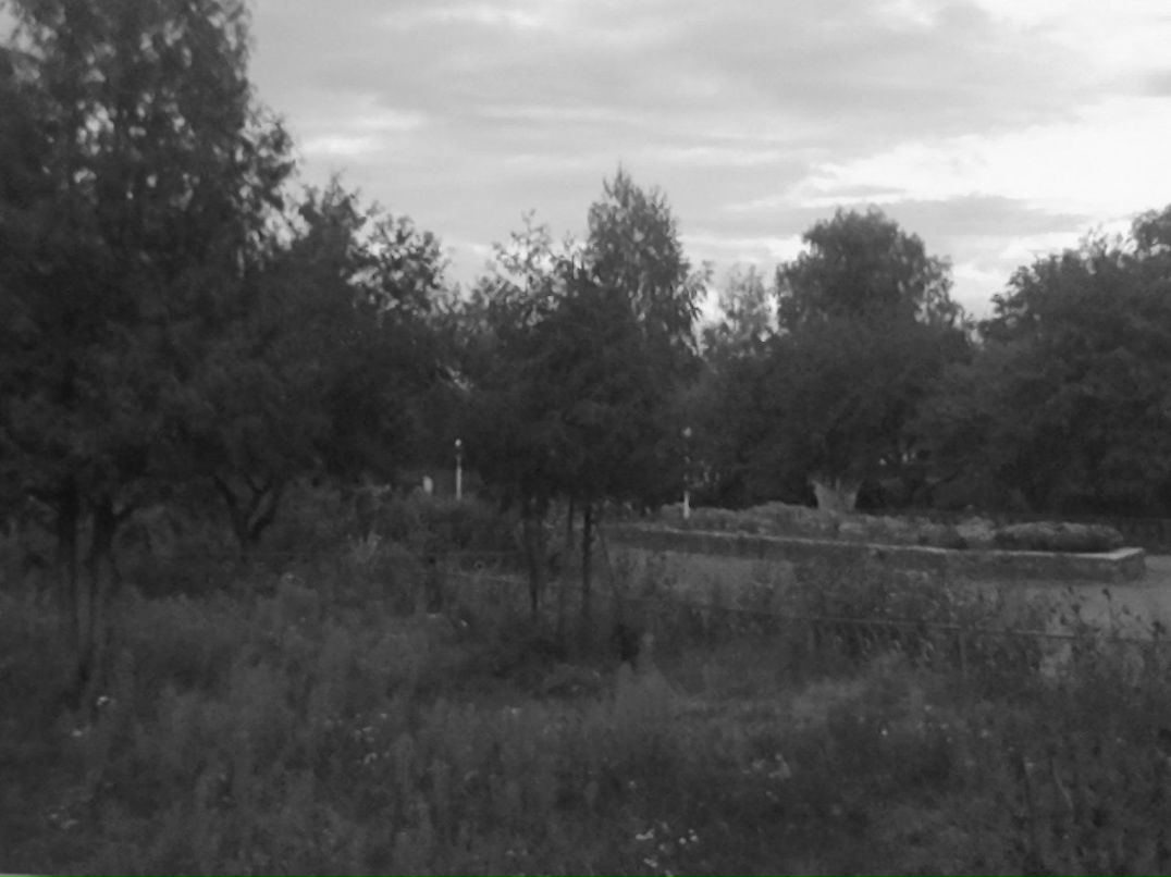 Ксения Нагорная | Чернигов