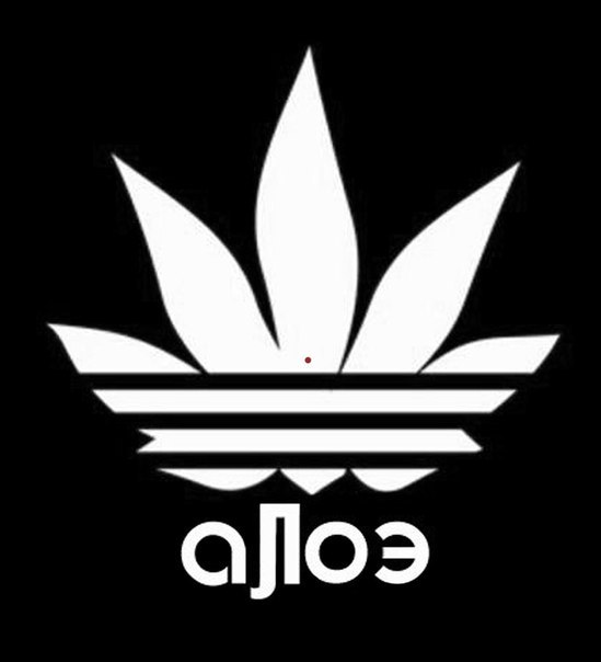 Анатолий Куров | Екатеринбург