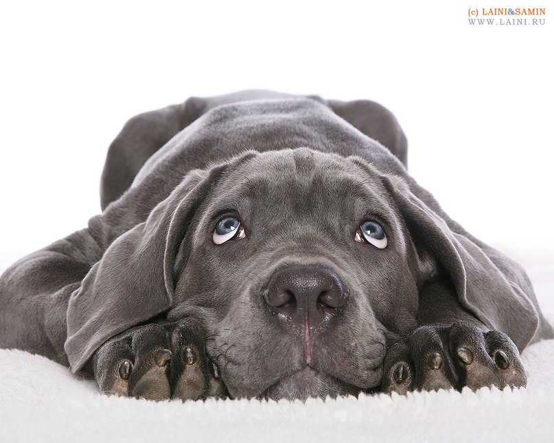 Анна Соболева | Красноярск