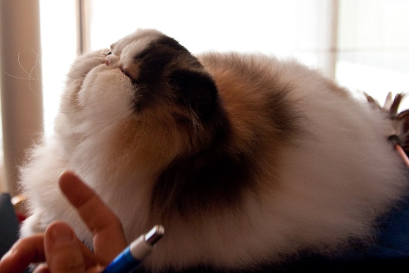 Наталья Зима | Волжский