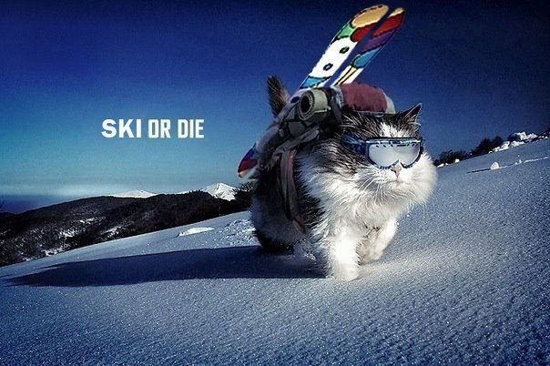 Юрий Тимонов | 