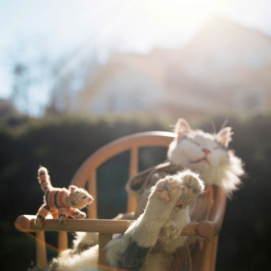 №88, Denis Kartavenko, Ubud №88, Denis Kartavenko, Ubud