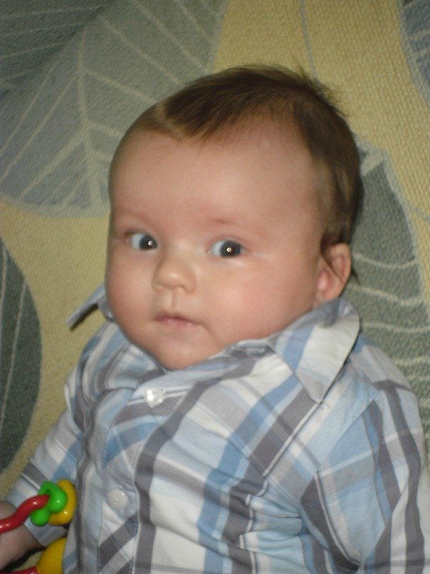 Ліля Шлапак | Львов