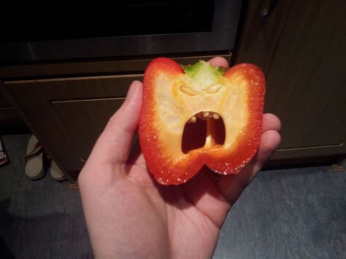 Дмитрий Перцев | Северодвинск