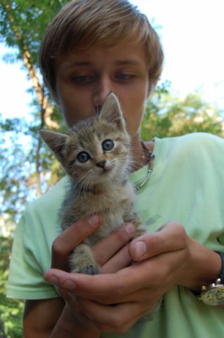 №3, Серёжа Быстров, Санкт-Петербург №3, Серёжа Быстров, Санкт-Петербург