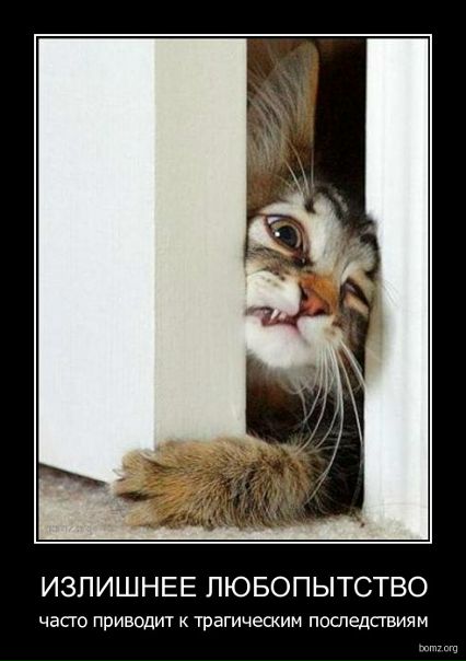 №9, Анна Кривцова №9, Анна Кривцова