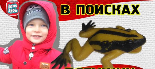 Брос Шоу Новые Серии 2022 Года Брос Шоу Новые Серии 2022 Года