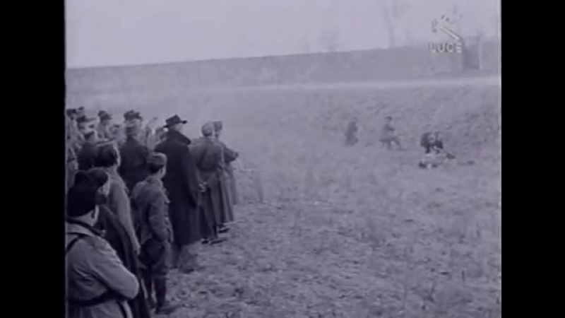 Cinegiornali di guerra 25 27 La RSI e il regno del sud Gen