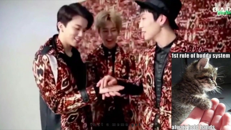 FMV B. A. P as Cat