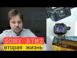 сутки после утопления. Теперь работает.