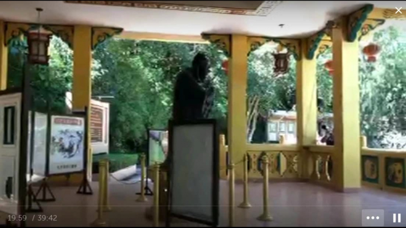 Алекс Лесли. Жжизнь без трусов.