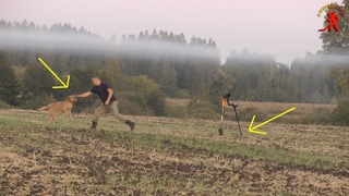 ЭТО СЛУЧИЛОСЬ С НАМИ, КОГДА НАКОПАЛИ МНОГО СТАРИННЫХ МОНЕТ  💰 👈