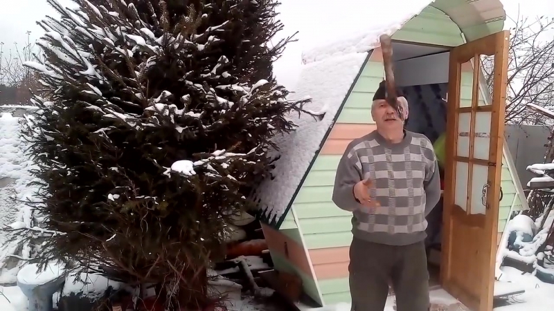 Эффект Дьякова