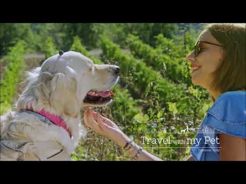 Travel with my pet Carolina