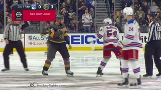 Adam McQuaid vs Ryan Reaves | Jan 8, 2019