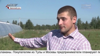 Экоферма INSIGHT в новостном выпуске Первого Тульского телеканала