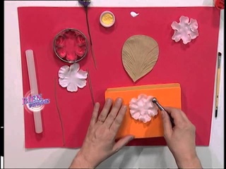 Jorge Rubicce - Bienvenidas TV -  Realiza una Rosa Silvestre Doble en Porcelana Fra.