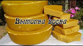 Пасека Огневых. Видео журнал. ( Вытопка воска)