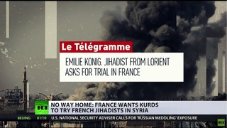 French jihadists who fought with ISIS in Syria should be tried there, not in homeland – MP