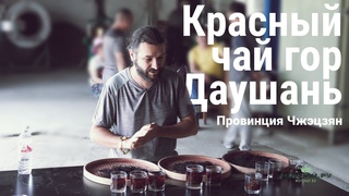 Красный чай гор Даушань. Провинция Чжэцзян