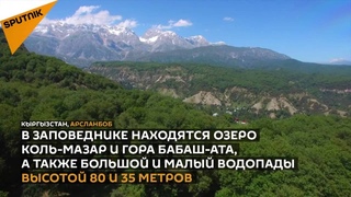 Уникальный Кыргызстан: реликтовые леса Арсланбоба