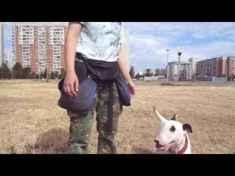 тренировочка 07 07