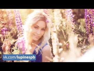 Солнечная Фотосессия - Люпины