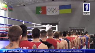 Відкритий боксерський турнір пам'яті Олександра Асауленка