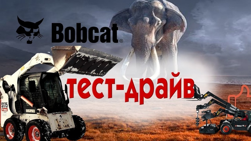 Способный малыш. Тест драйв Bob Cat S175,