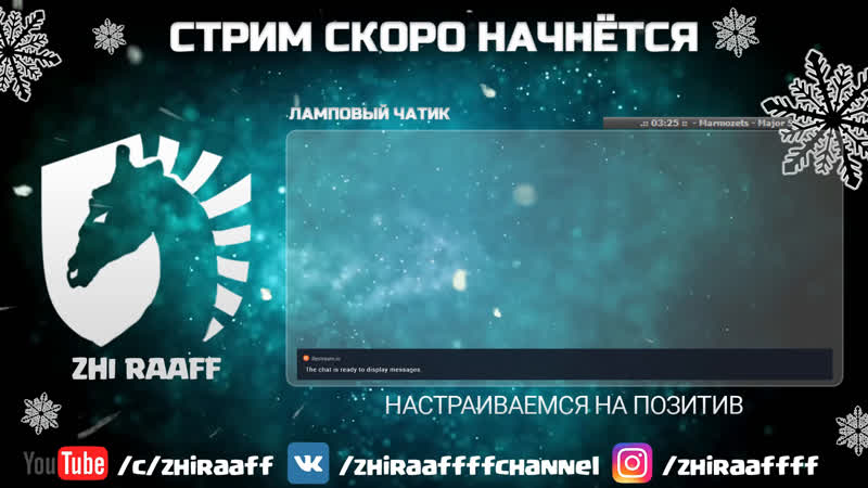 Жираф выходит в эфир. Трансляция