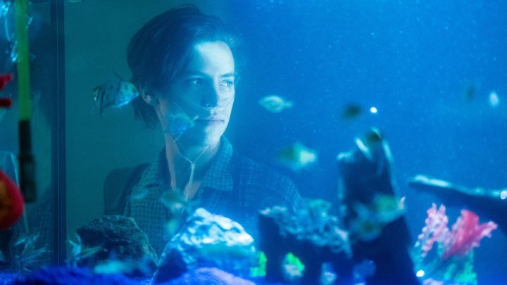 В метре друг от друга , Five Feet Apart (2019).