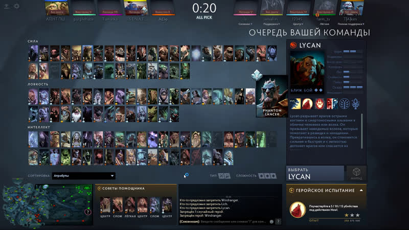 New top Carry ( Net