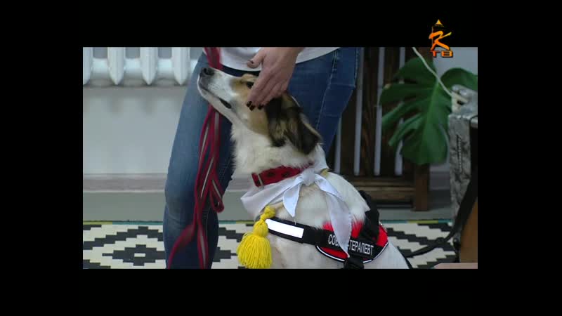 Общественная палата в библиотеке
