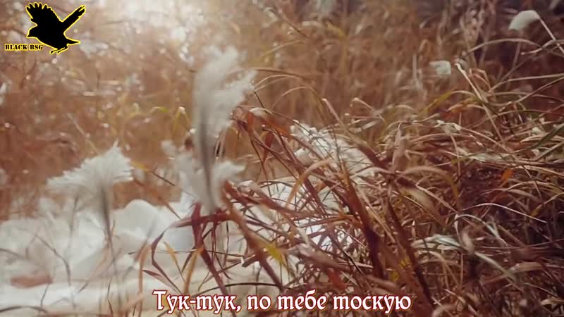 MINO FIANCÉ (рус караоке от BSG)(rus karaoke from