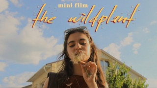 СОРНЯК // THE WILDPLANT (mini film)