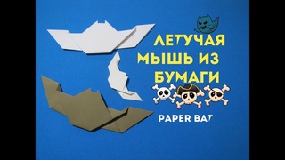 Летучая мышь. Bat