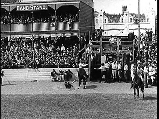 Four Legged Dynamite (1933)