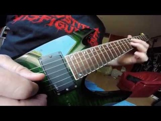 Prostitute Disfigurement - Force-Fed Dead (guitar playthrough)