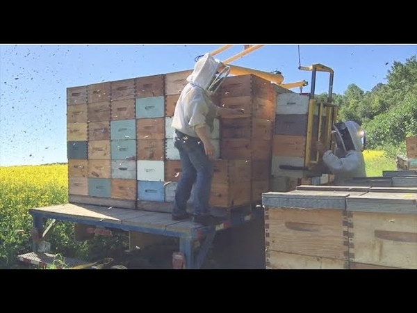 Video Clips from our Busy Saturday Work Day 07, 27,