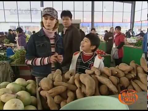Happy Chinese Ep 43 快乐汉语